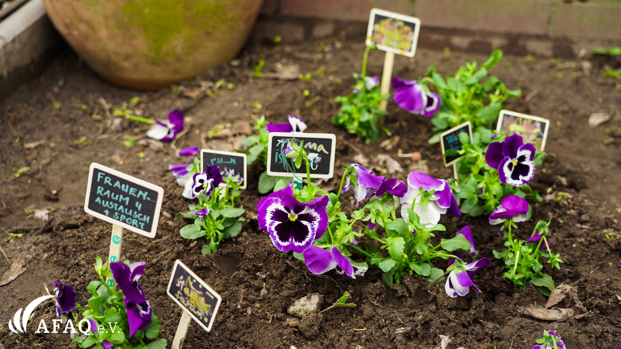 Stark für die Frauenrechte
